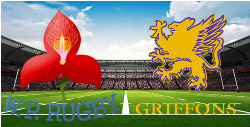 Western Province vs Griffons 3 August 2024 Rugby Full Match Replay Currie Cup